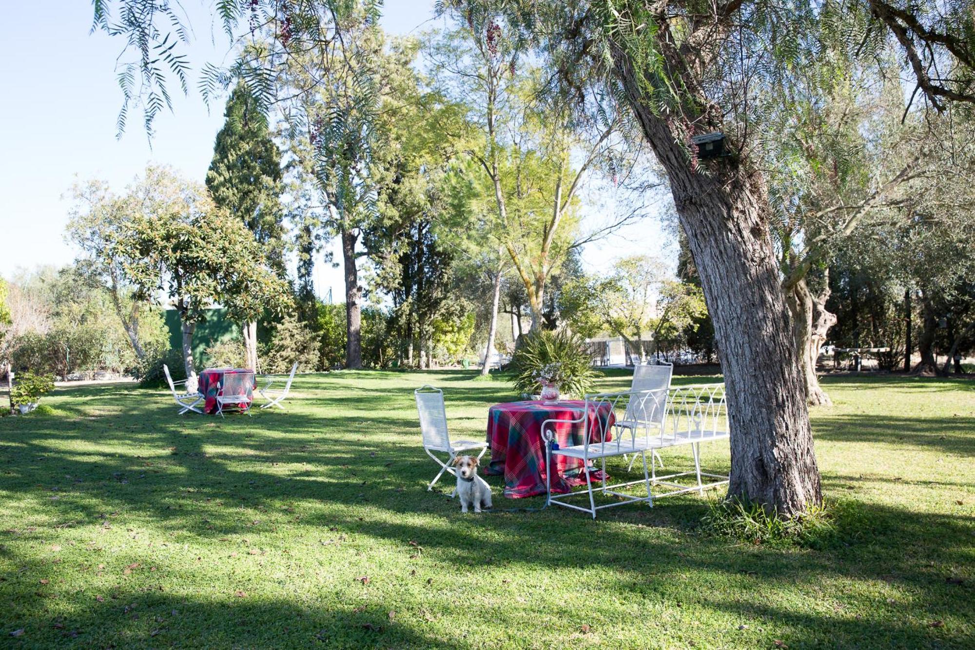 فيلا Cortijo Rural La Mariscala جيريز المظهر الخارجي الصورة