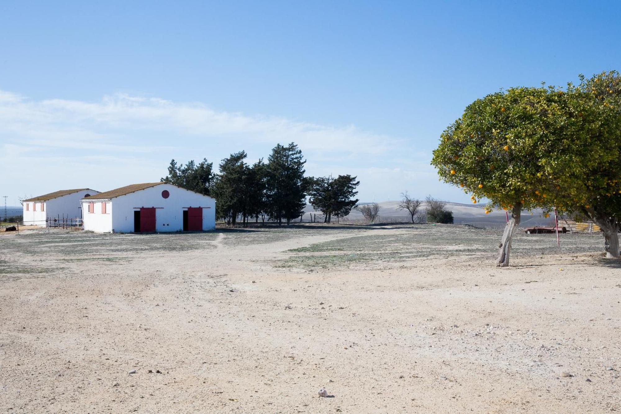 فيلا Cortijo Rural La Mariscala جيريز المظهر الخارجي الصورة