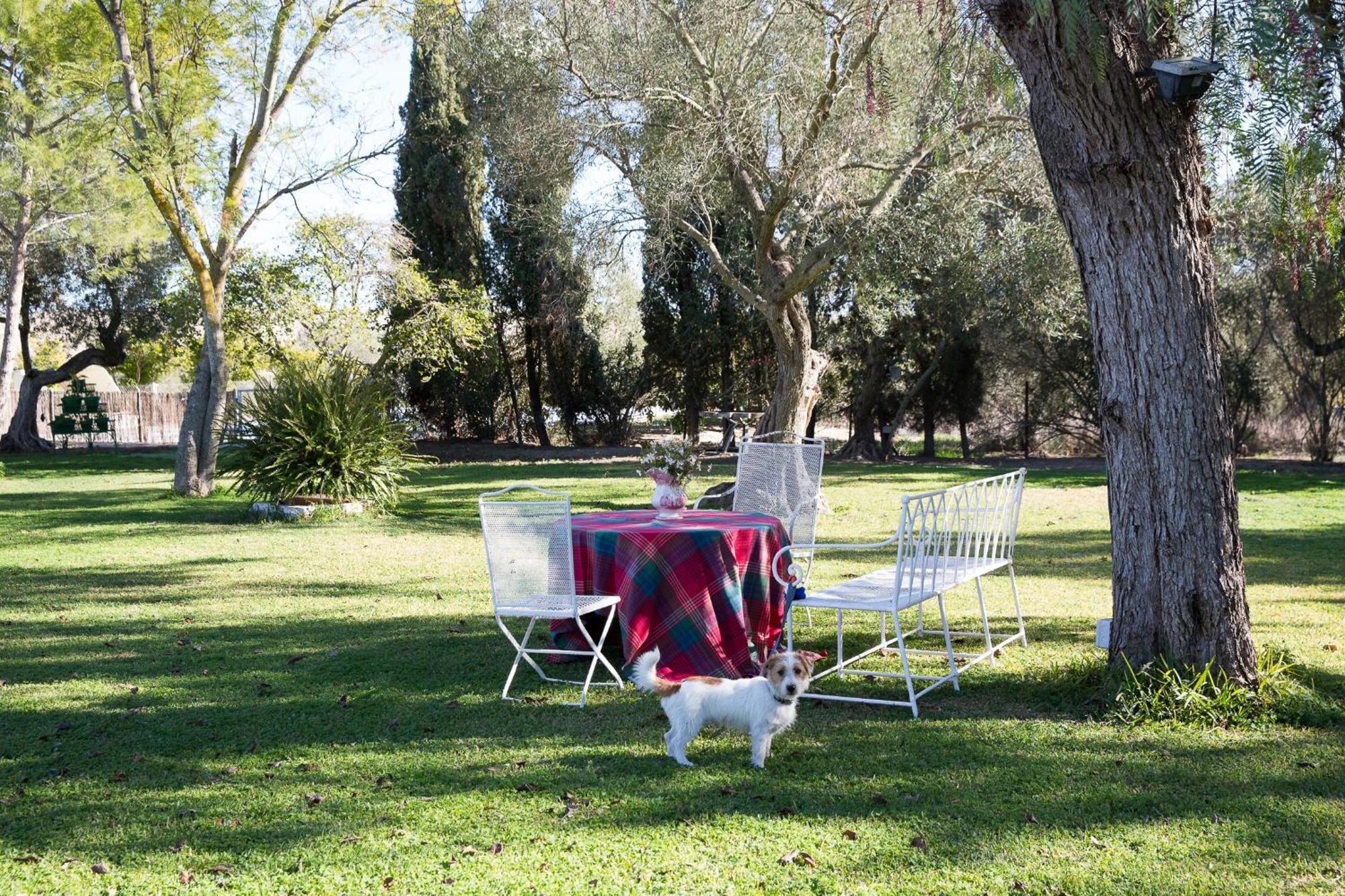 فيلا Cortijo Rural La Mariscala جيريز المظهر الخارجي الصورة